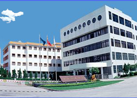 ��ҩ����