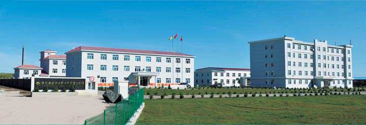 ������ҵϴ�»�Զ�����ɹų°Ͷ�